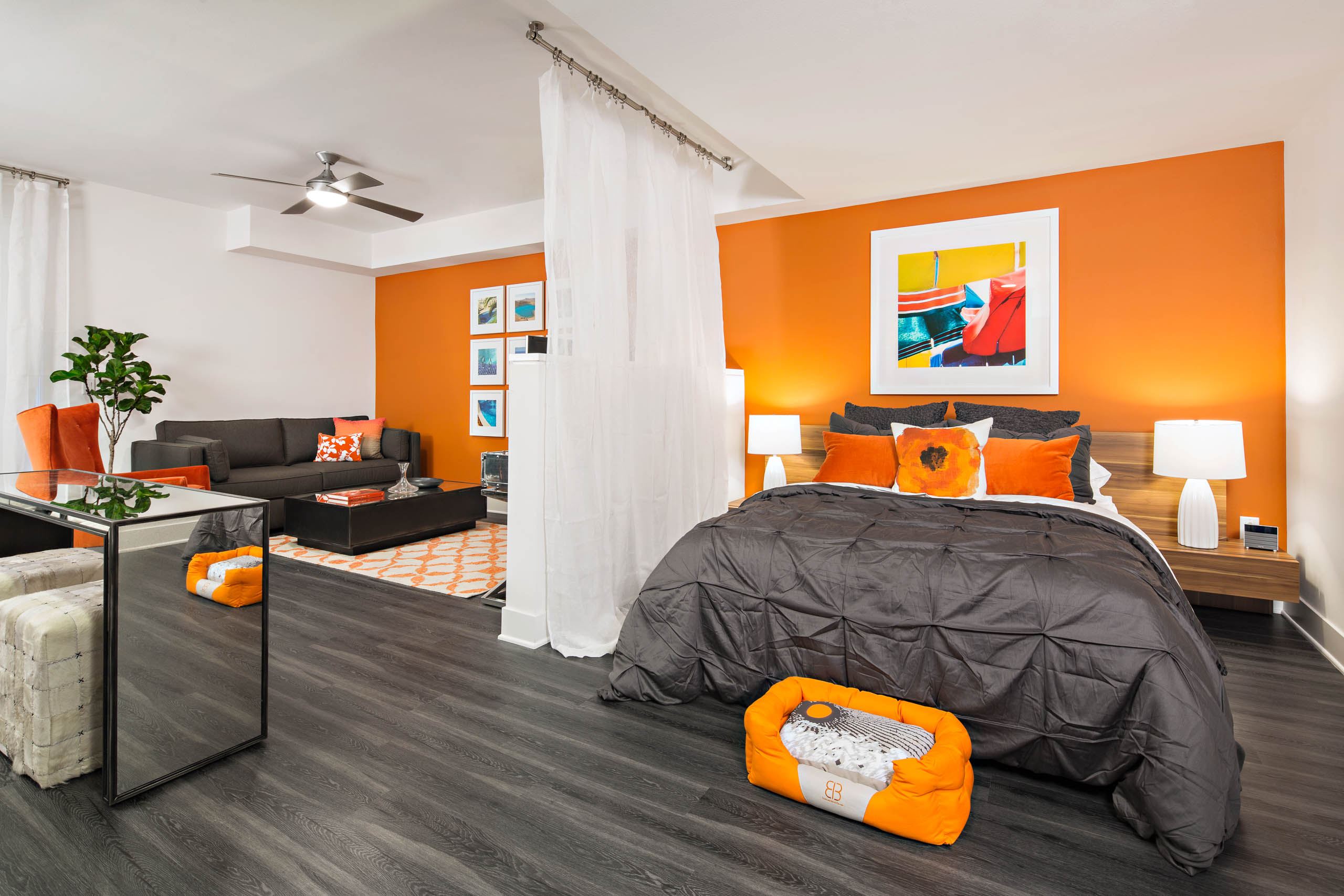 Studio, 1 & 2 BR Glendale Apartments | AMLI Lex on Orange